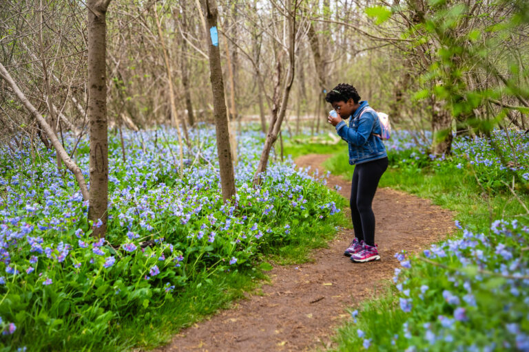 child on hiking trail in centerville virginia